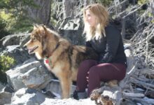 Grief stricken pet owners usher in instagram and tiktoks new influencers their cloned cats and dogs