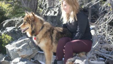 Grief stricken pet owners usher in instagram and tiktoks new influencers their cloned cats and dogs