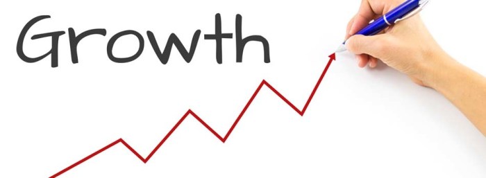 4 business growth opportunities in a slowing economy