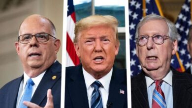 Trumps war with mcconnell explodes onto sean hannity