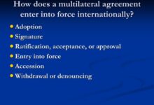 Multilateral agreement on investment