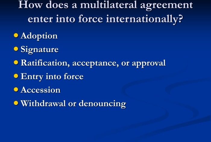 Multilateral agreement on investment