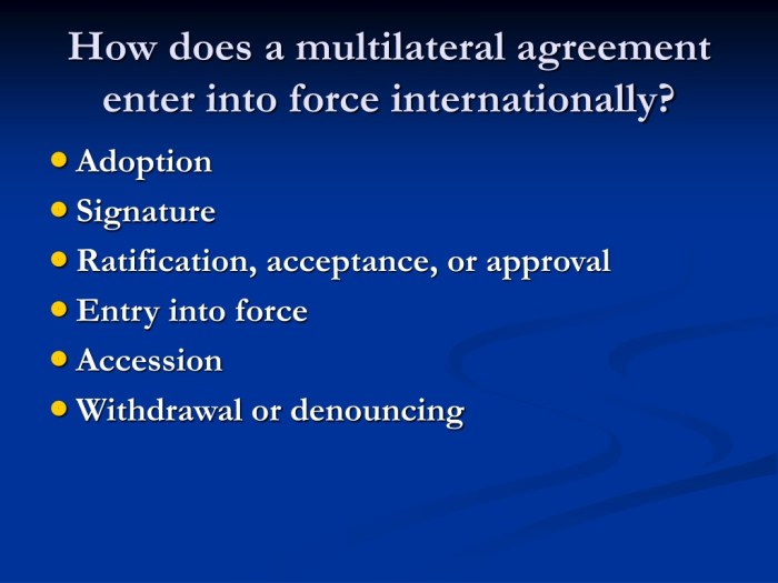 Multilateral agreement on investment