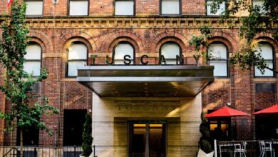 Famous super tuscan wine producer brings tuscany to new york city while displaying age worthy quality through verticals