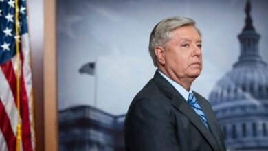 Federal appeals court delays sen lindsey grahams testimony in georgia election probe