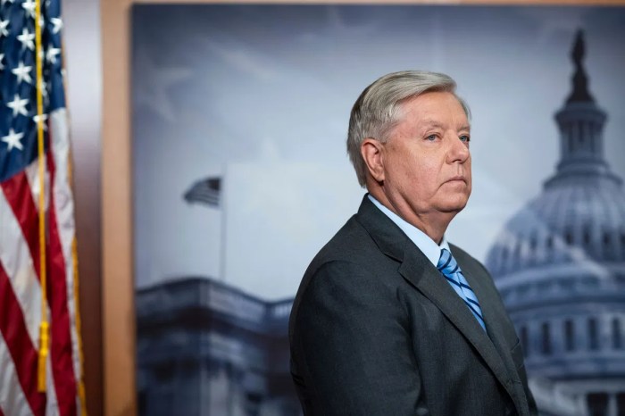 Federal appeals court delays sen lindsey grahams testimony in georgia election probe