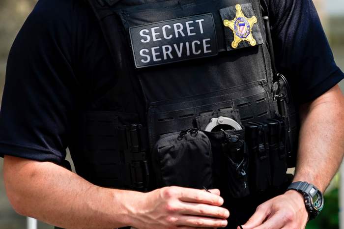 The secret service is looking into musks post about threats to biden and harris