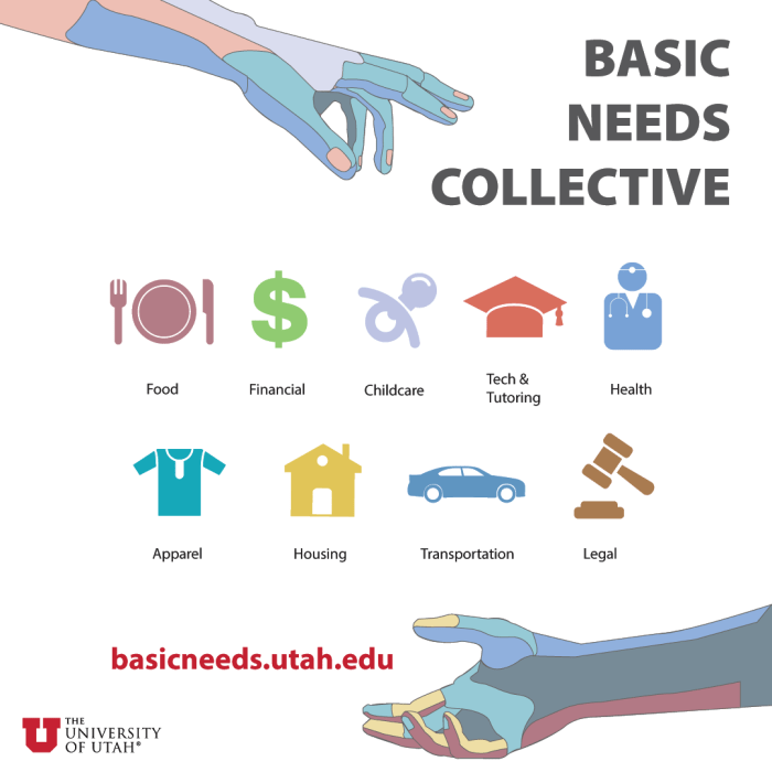 Basic needs at the california community colleges quick guide