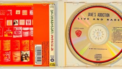 Jane perry farrell lollapalooza janes nme cringe