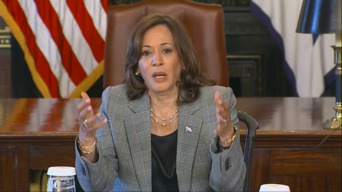 Kamala harris ripped for latest word salad lets come together with the character that we are so proud of about who we are