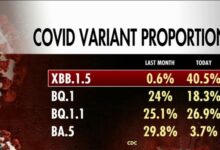 What are xec covid variant symptoms and will there be another lockdown