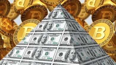 Six signs crypto investment is a classic ponzi scheme