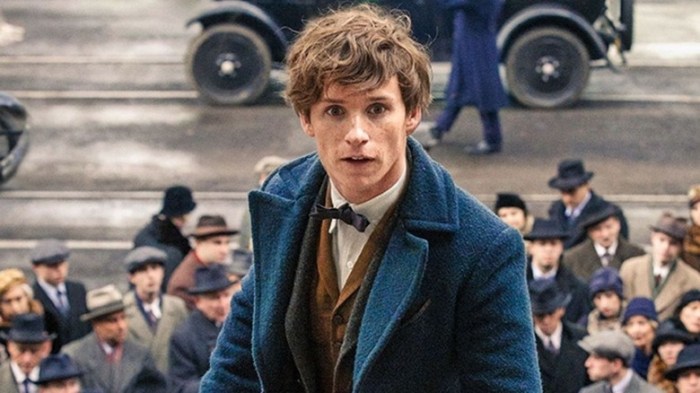 Eddie redmayne doesnt need fantastic beasts 4 to make 1 more harry potter appearance