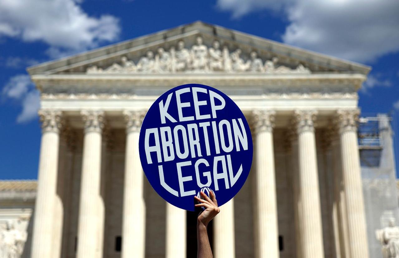 Idaho supreme court halts 6 week abortion ban based on texas law