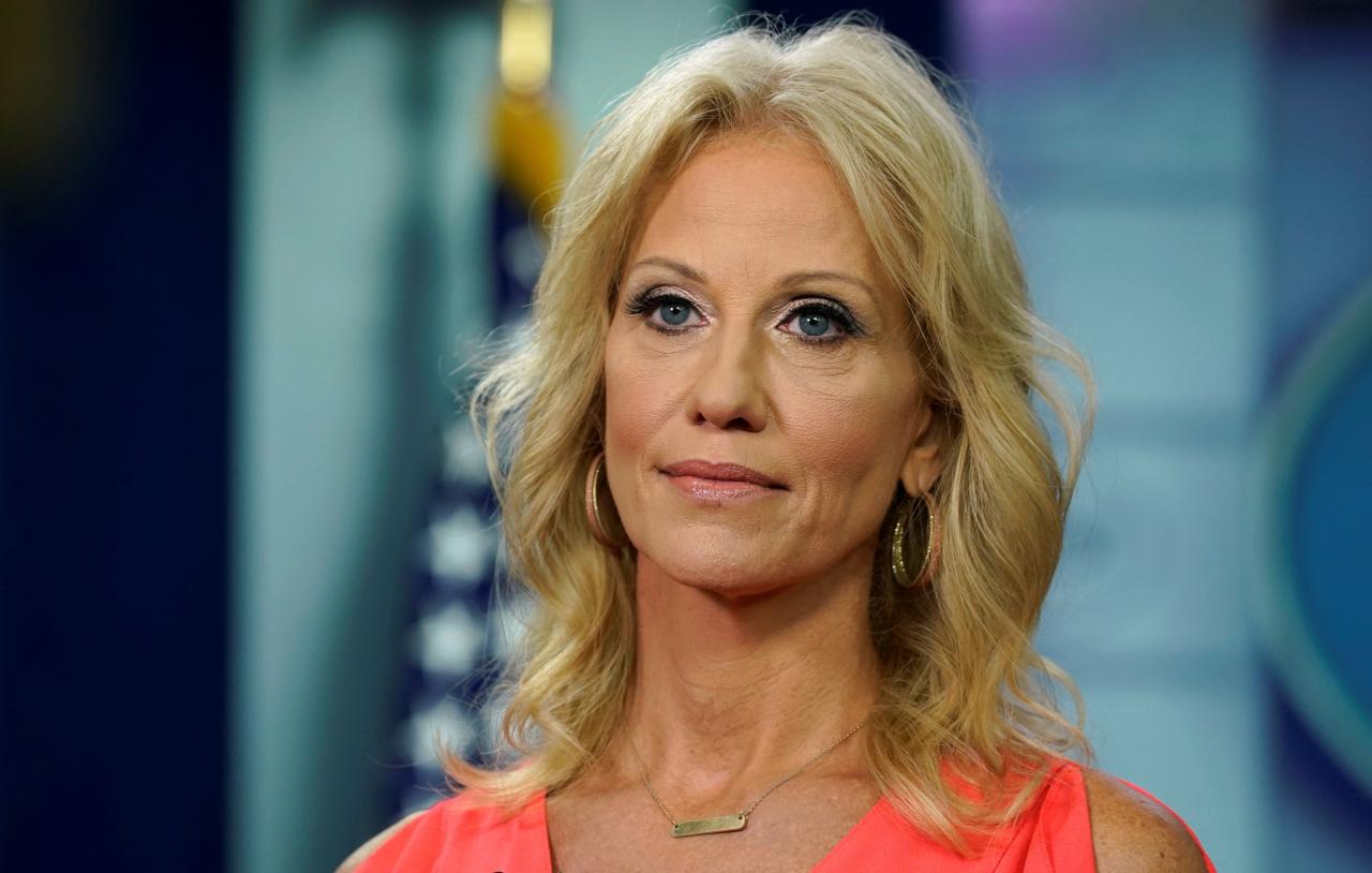 Kellyanne conway advises trump to wait until right after the midterms if hes going to announce white house bid