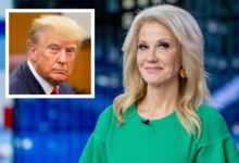 Kellyanne conway advises trump to wait until right after the midterms if hes going to announce white house bid