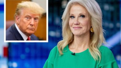 Kellyanne conway advises trump to wait until right after the midterms if hes going to announce white house bid