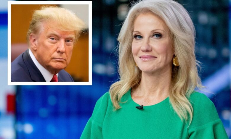 Kellyanne conway advises trump to wait until right after the midterms if hes going to announce white house bid