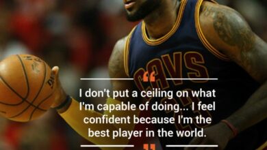 Greivis vasquez lebron james is the best because he doesnt get bored with success