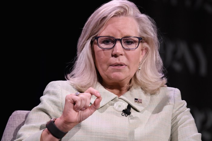 Liz cheney took on trump can she survive a trump backed challenger in wyoming