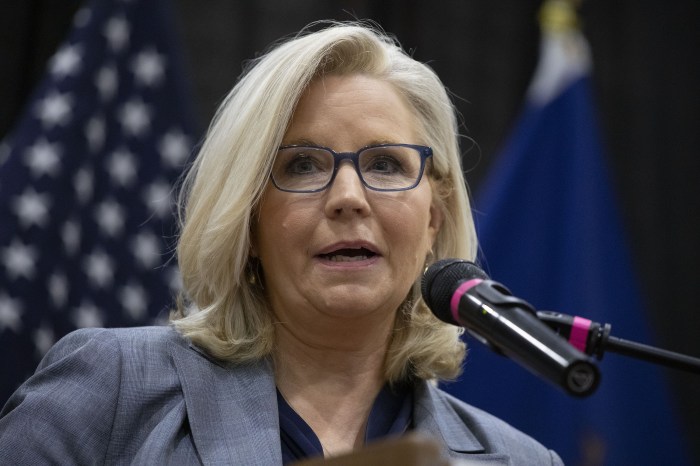 Liz cheney took on trump can she survive a trump backed challenger in wyoming