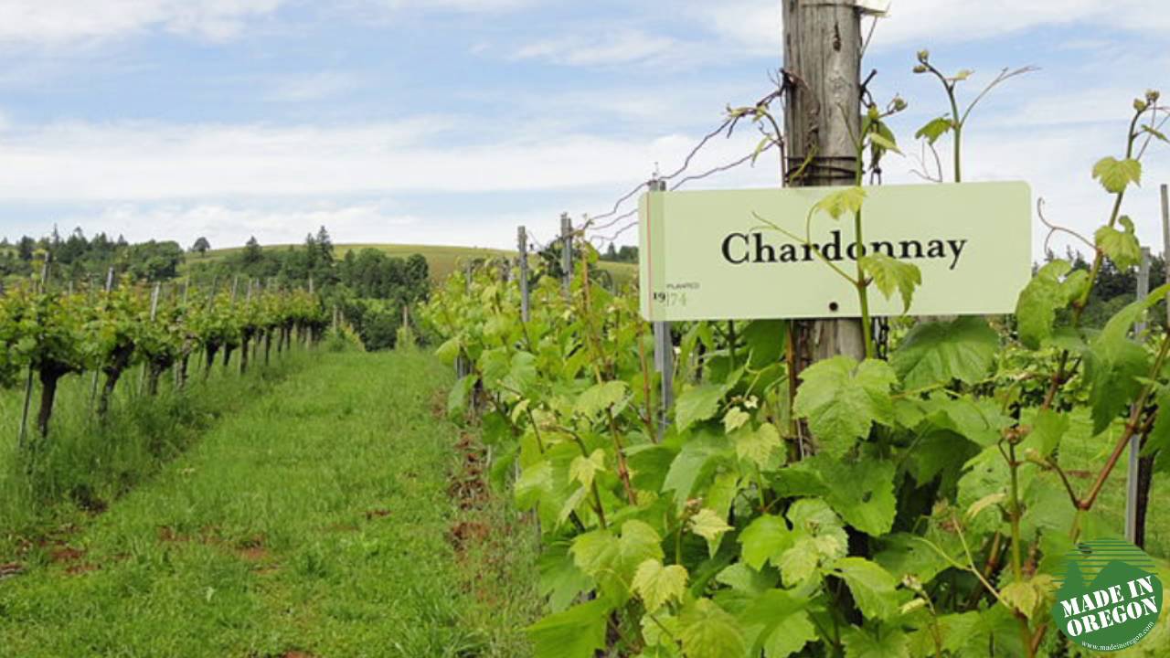 Sip myths chardonnay oregonlive oregon symposium winemakers smooth dayton tasted chardonnays recent