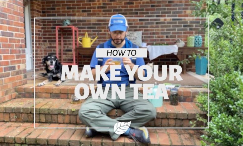 A beginners guide to drinking better tea