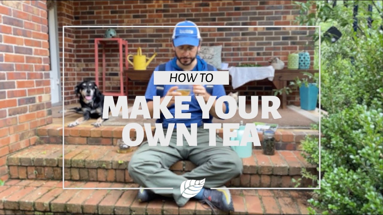 A beginners guide to drinking better tea