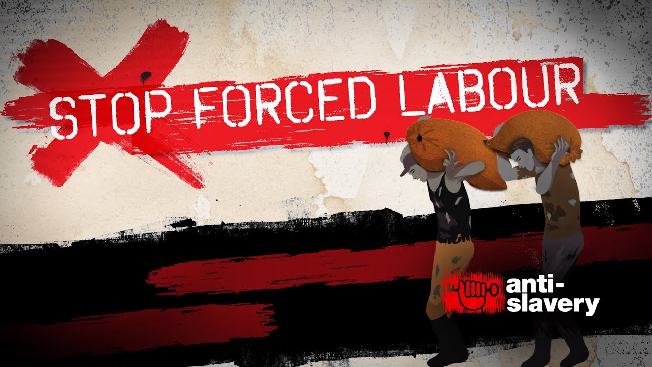 Companies brace for impact of new forced labor law