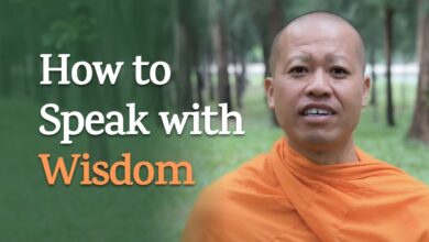 What it takes to be wise 5 ways to greater wisdom