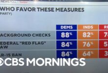 Cbs news poll can mass shootings be prevented and if so how