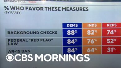 Cbs news poll can mass shootings be prevented and if so how