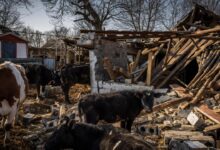 Russias ukraine war is stressing farmers in u s