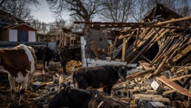 Russias ukraine war is stressing farmers in u s