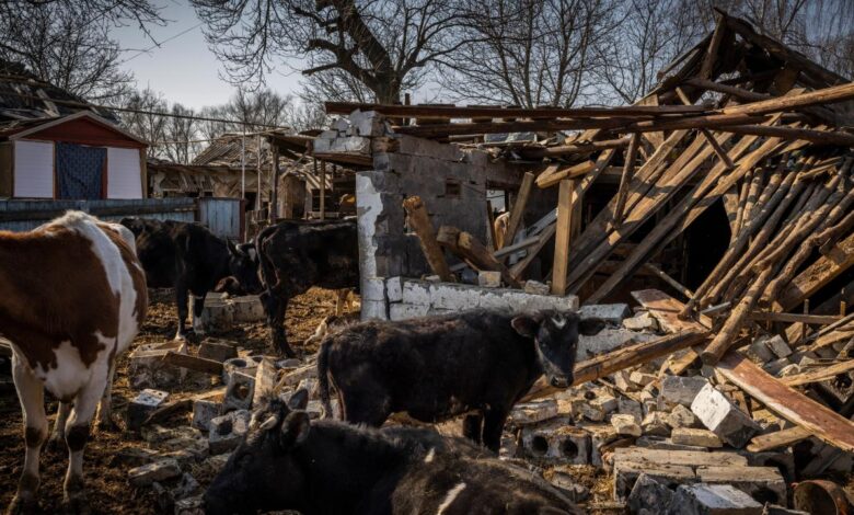 Russias ukraine war is stressing farmers in u s