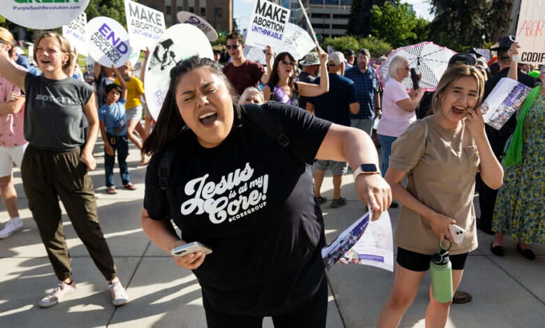 Idahos proposed abortion ban lets rapists families profit off bounties