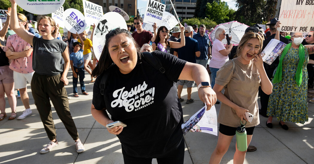 Idahos proposed abortion ban lets rapists families profit off bounties