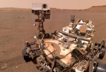 Nasas perseverance rover begins key search for life on mars