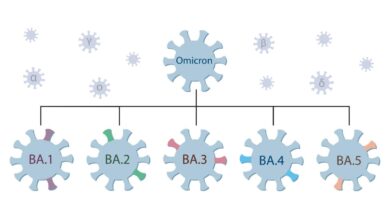 Who is tracking omicron ba 4 and ba 5 subvariants as they spread through africa and europe