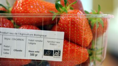 Organic strawberries likely cause of hepatitis a outbreak in u s canada