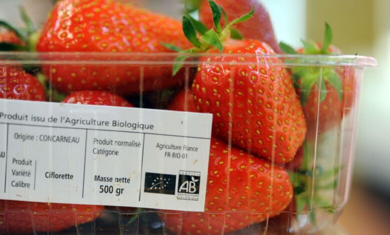 Organic strawberries likely cause of hepatitis a outbreak in u s canada