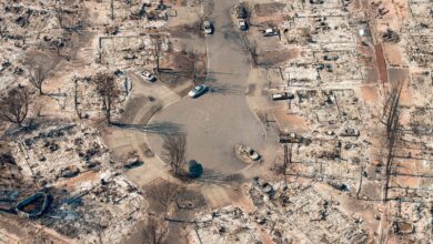 Forests wildfires
