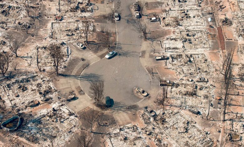 Forests wildfires