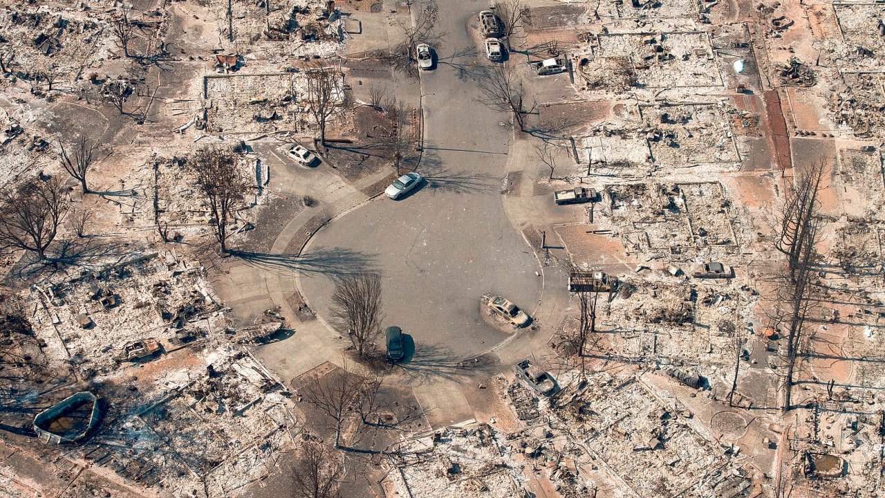 Forests wildfires