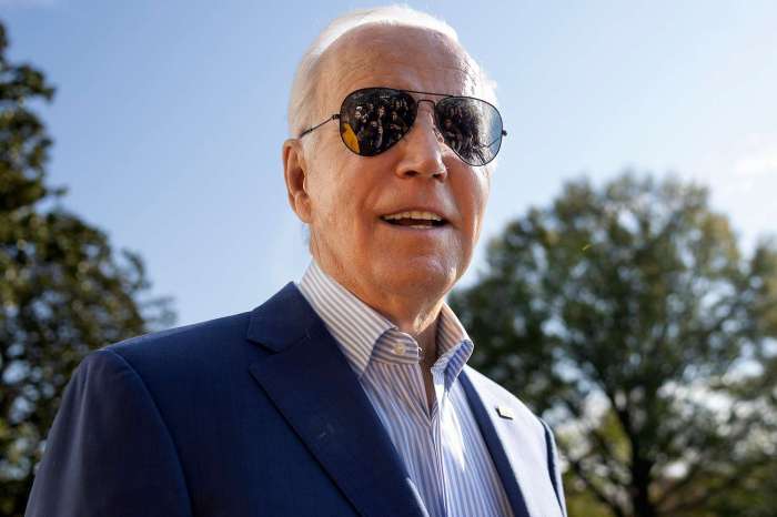 Biden joe democrats voting election usatoday