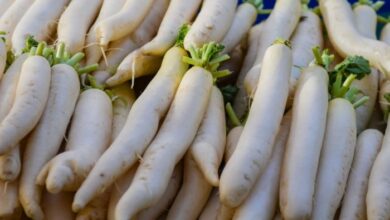 What is daikon the crispest coolest vegetable we know