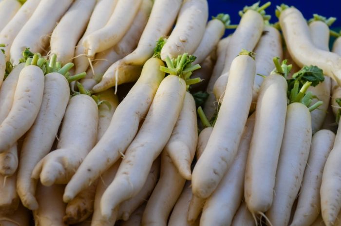 What is daikon the crispest coolest vegetable we know