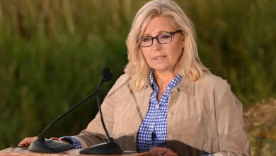 Liz cheney is ready to lose but shes not ready to quit