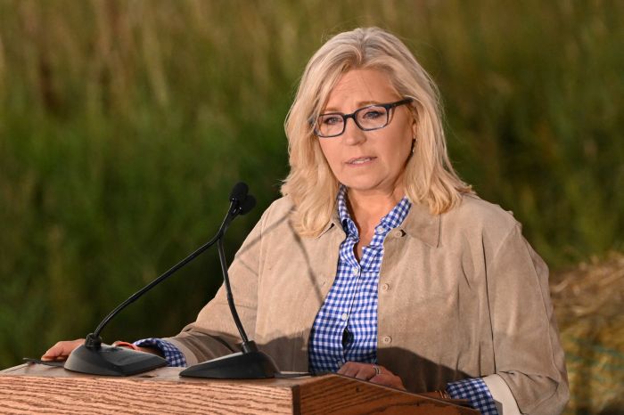 Liz cheney is ready to lose but shes not ready to quit