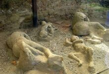 Preserved pompeii incredibly